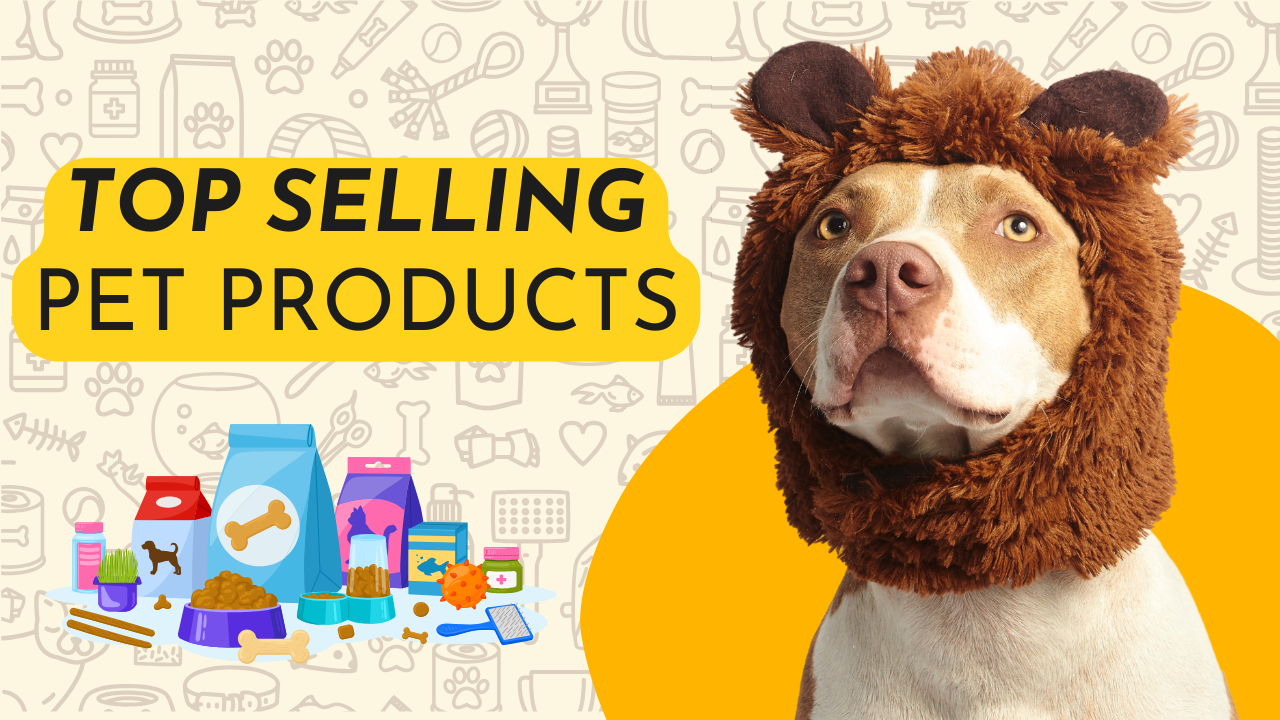 Top Selling Pet Products Online